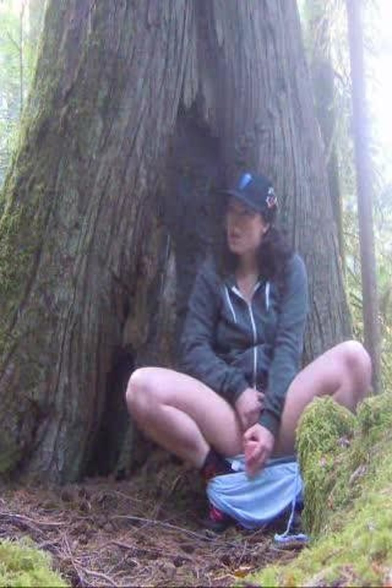 Camping Fap - Screenshot 1 of 4 - Object Insertion