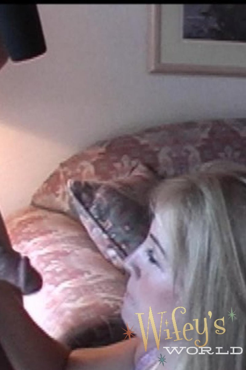 Plaza BJ - Screenshot 1 of 4 - Sandra Otterson