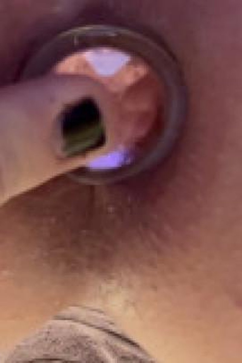 Gothic Pulsating Butt Plug - Screenshot 1 of 4 - Ass Smacking