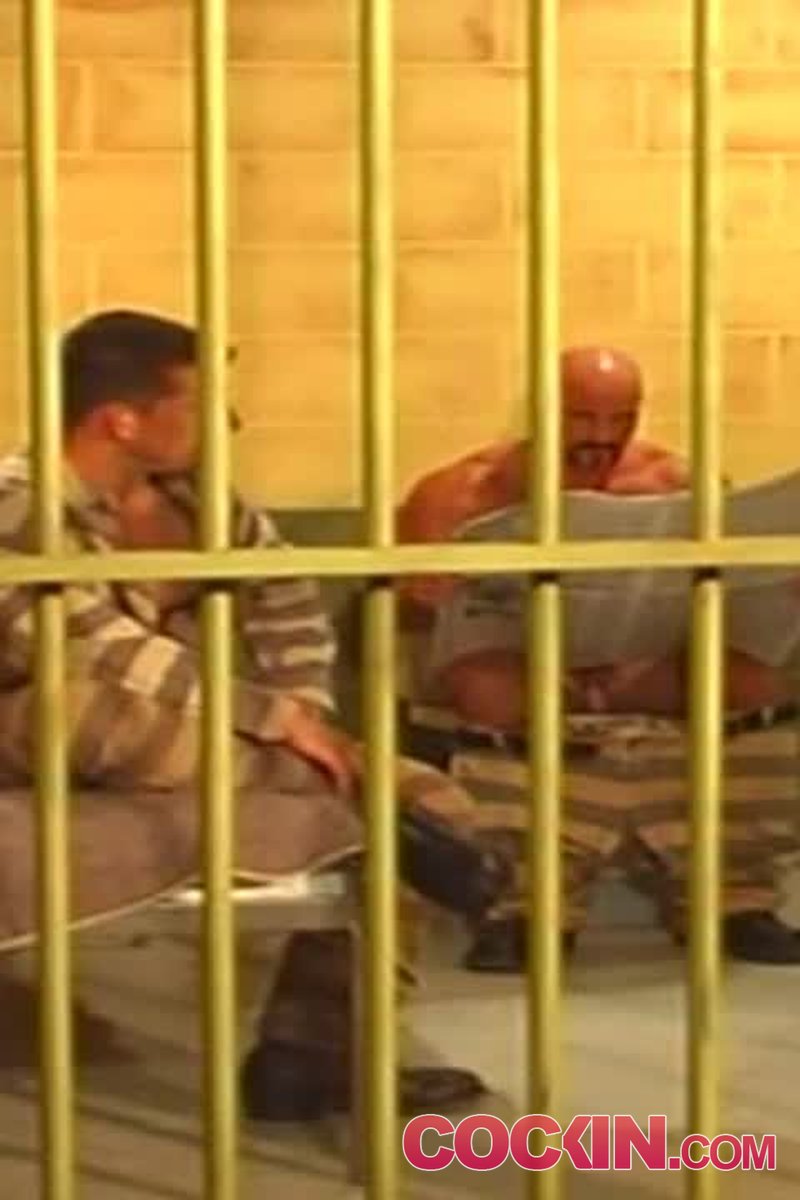 Bear Cage 2 - Screenshot 1 of 4 - Gay