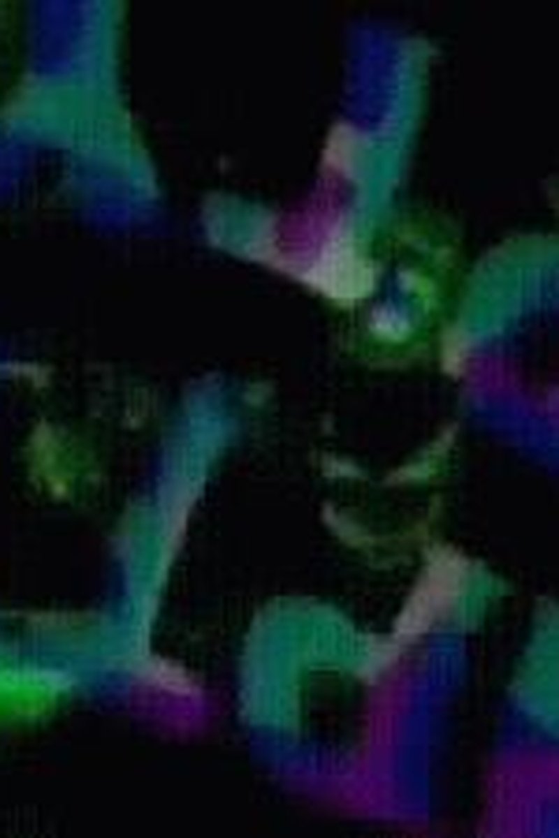 Stroke Yourself Stupid: Brain Drain - Screenshot 1 of 4 - Broken