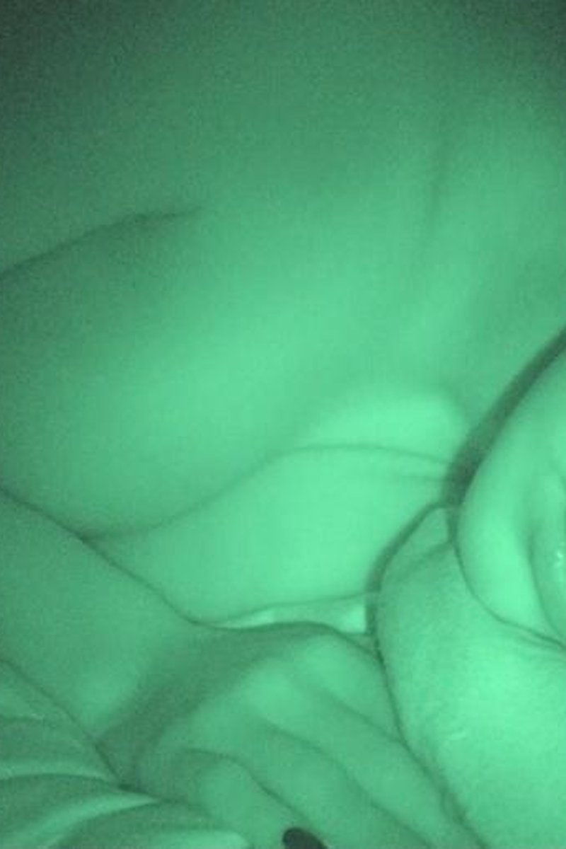 Pervin Nikki - Screenshot 1 of 4 - Amateur