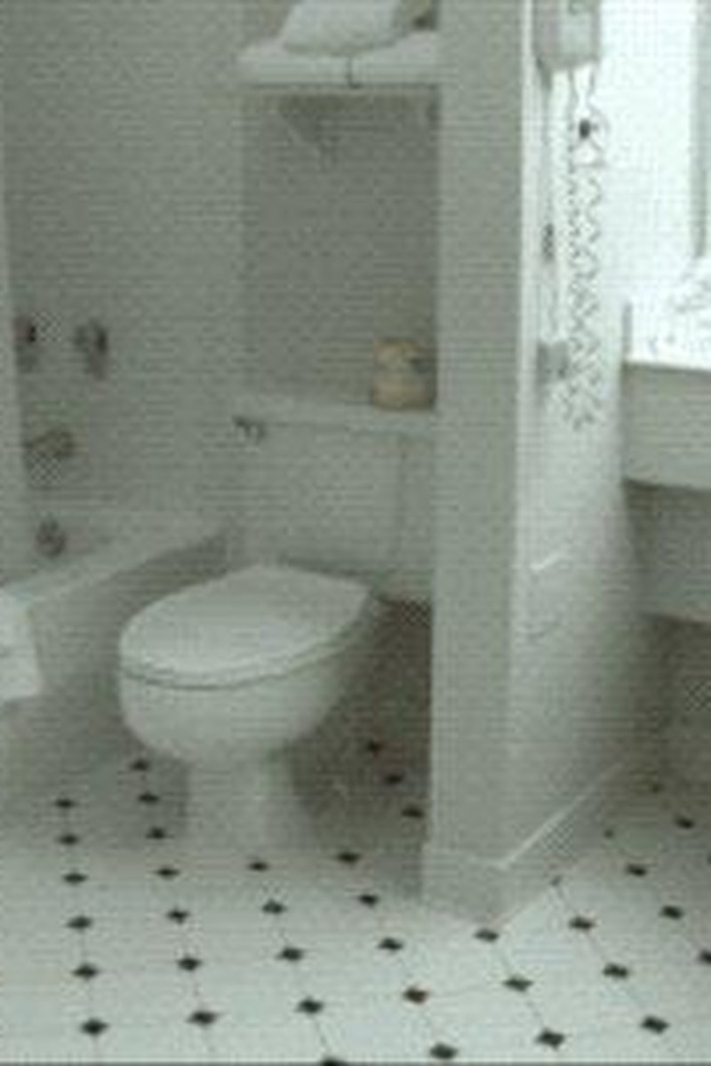 Cd Glory Goodness It's Not Toxic It's Delicious And Nutricious - Screenshot 1 of 4 - Toilet