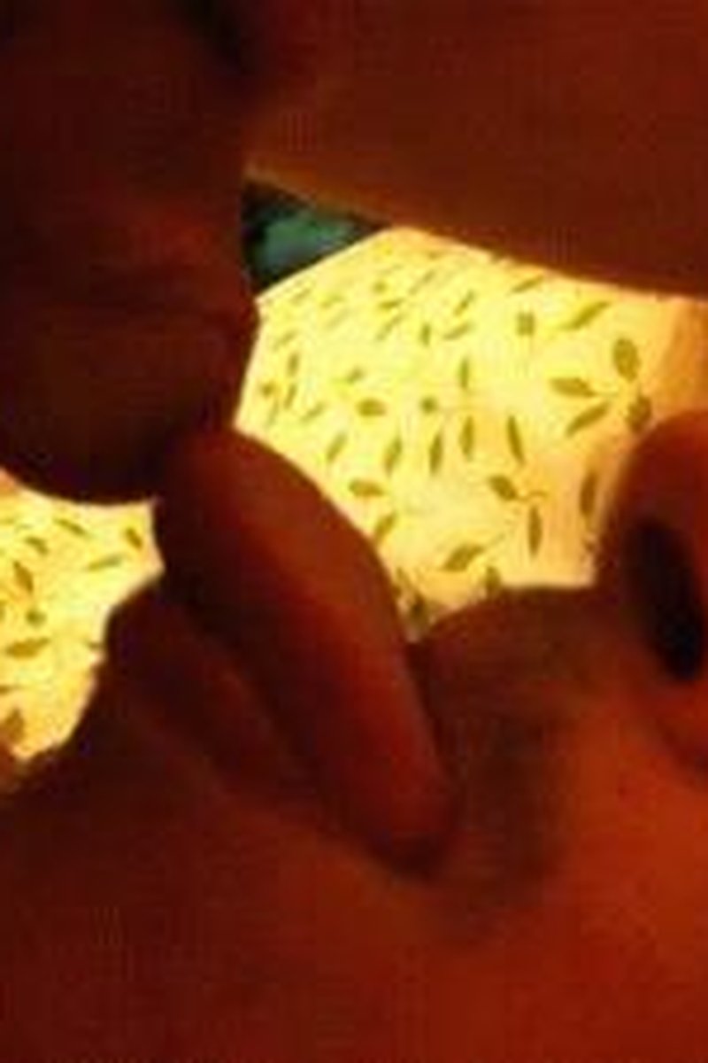 Self Suck - Screenshot 1 of 4 - Cum Eating