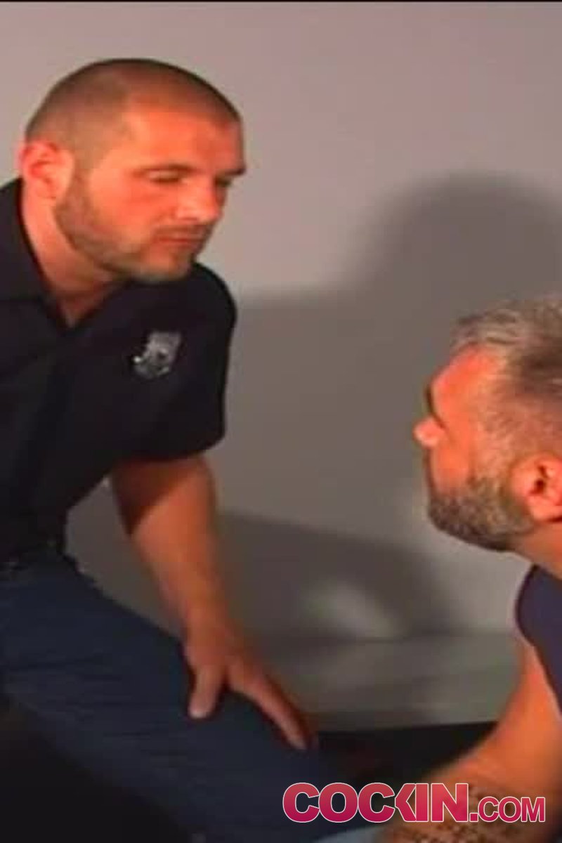 Bear Fuzz 4 - Screenshot 1 of 4 - Gay