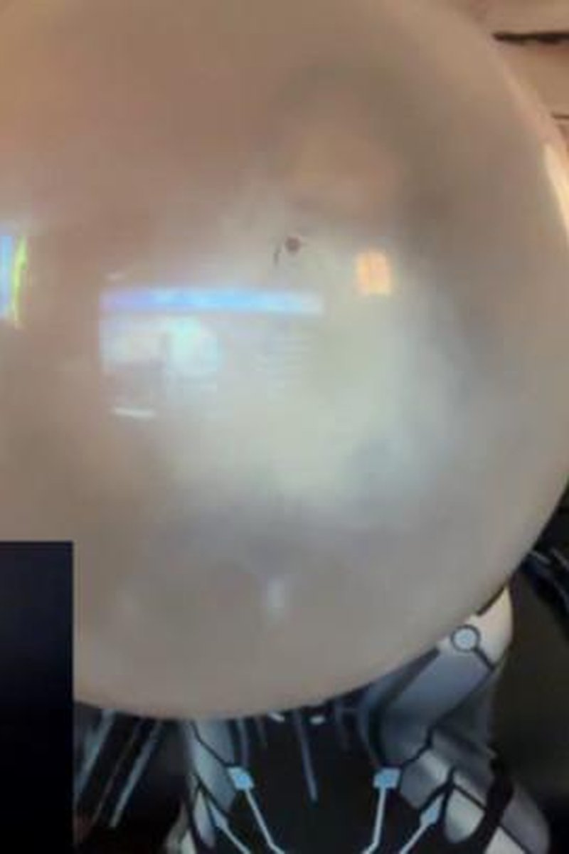 Bubblegum Part 1 Of 2 Pip - Screenshot 1 of 4 - Bubble Gum