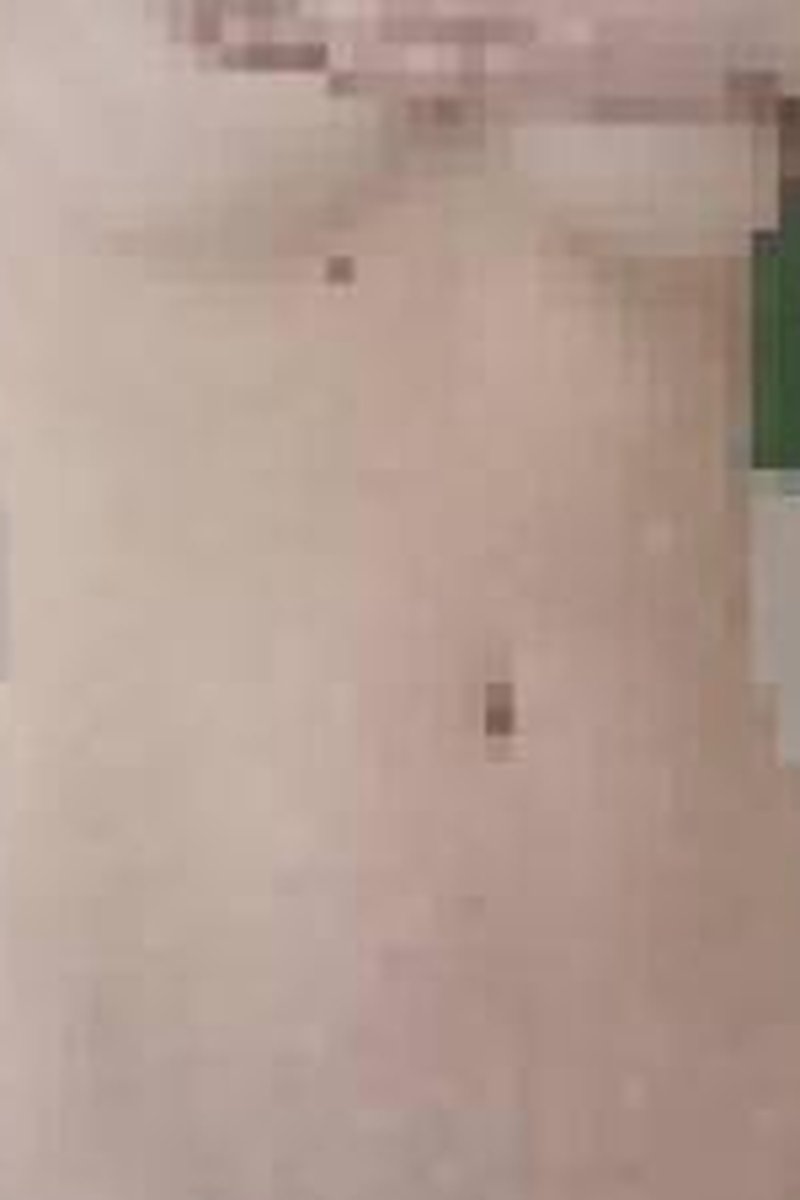 Shower Tease - Screenshot 1 of 4 - Domination