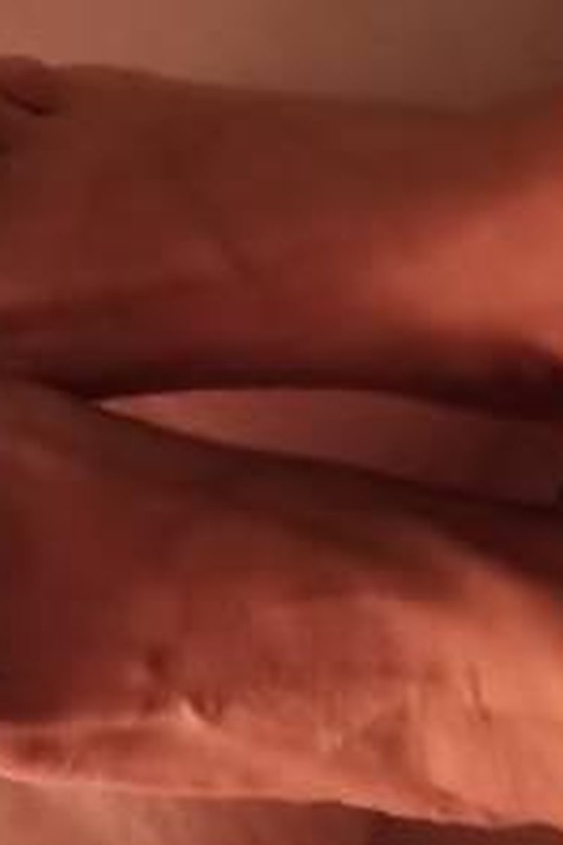 Pies - Screenshot 1 of 4 - Amateur