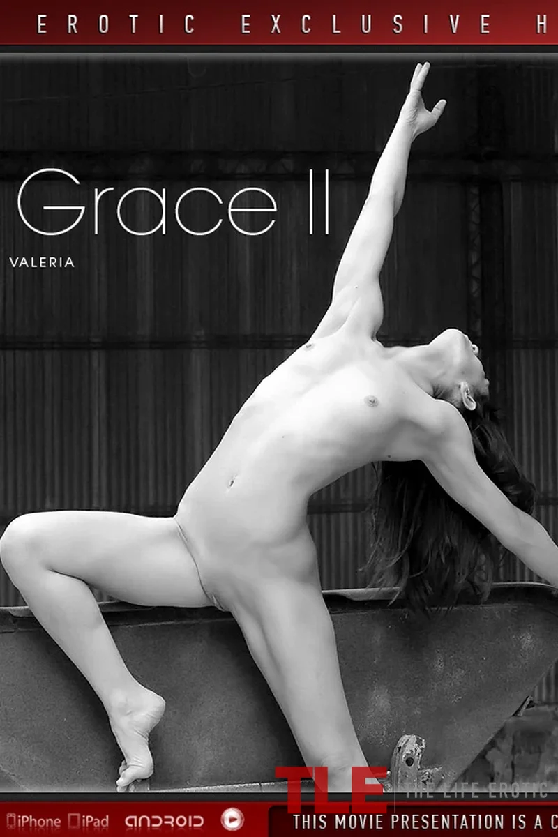 Rustic Grace 2 - Screenshot 1 of 4 - All Sex