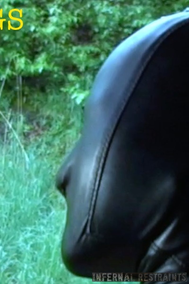 I Hate Bugs - Screenshot 1 of 4 - 120