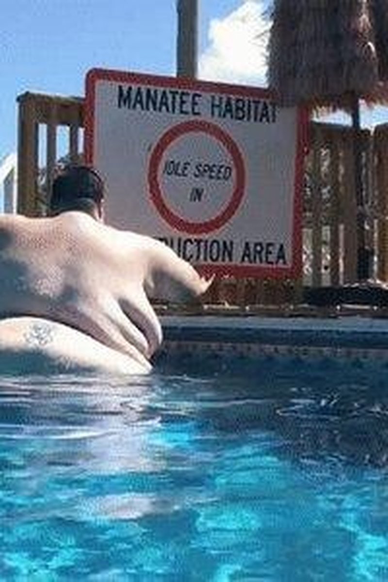 My Life at 600 Lbs: Poolside Weightgain Chat *Mp4* - Screenshot 1 of 4 - 600 Lbs