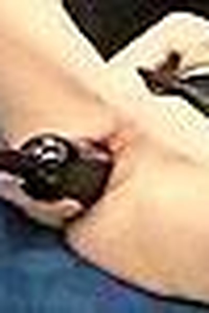 Wine Bottle Insertion - Screenshot 1 of 4 - Amateur
