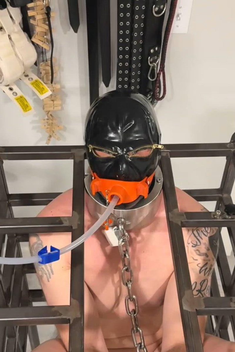 Stimulated - Screenshot 1 of 4 - Anal