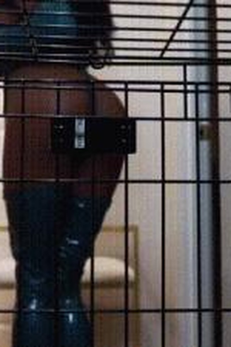 Balls Chained - Screenshot 1 of 4 - Ass Worship