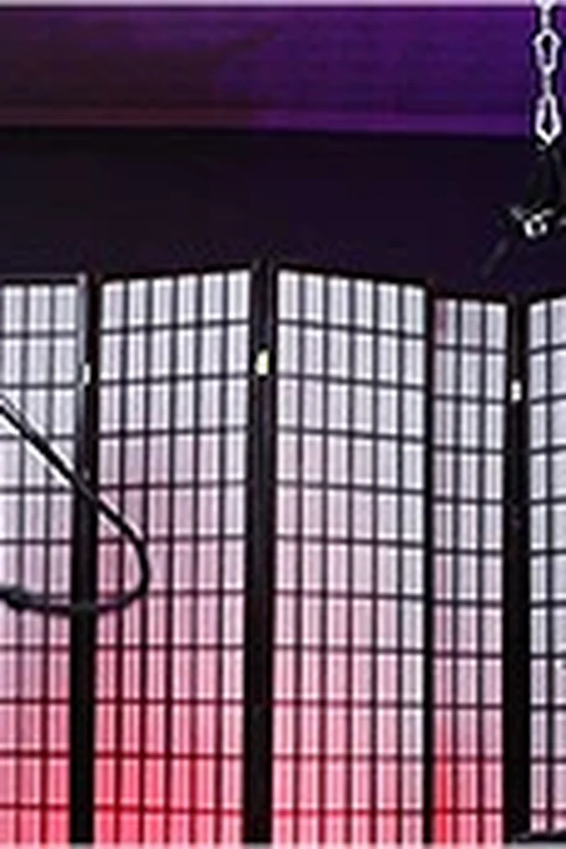 Questions - Screenshot 1 of 4 - BDSM