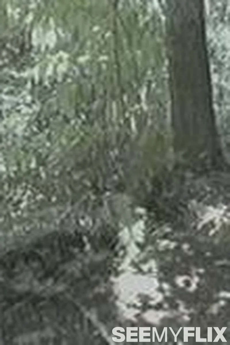 Woods Ho - Screenshot 1 of 4 - BBW