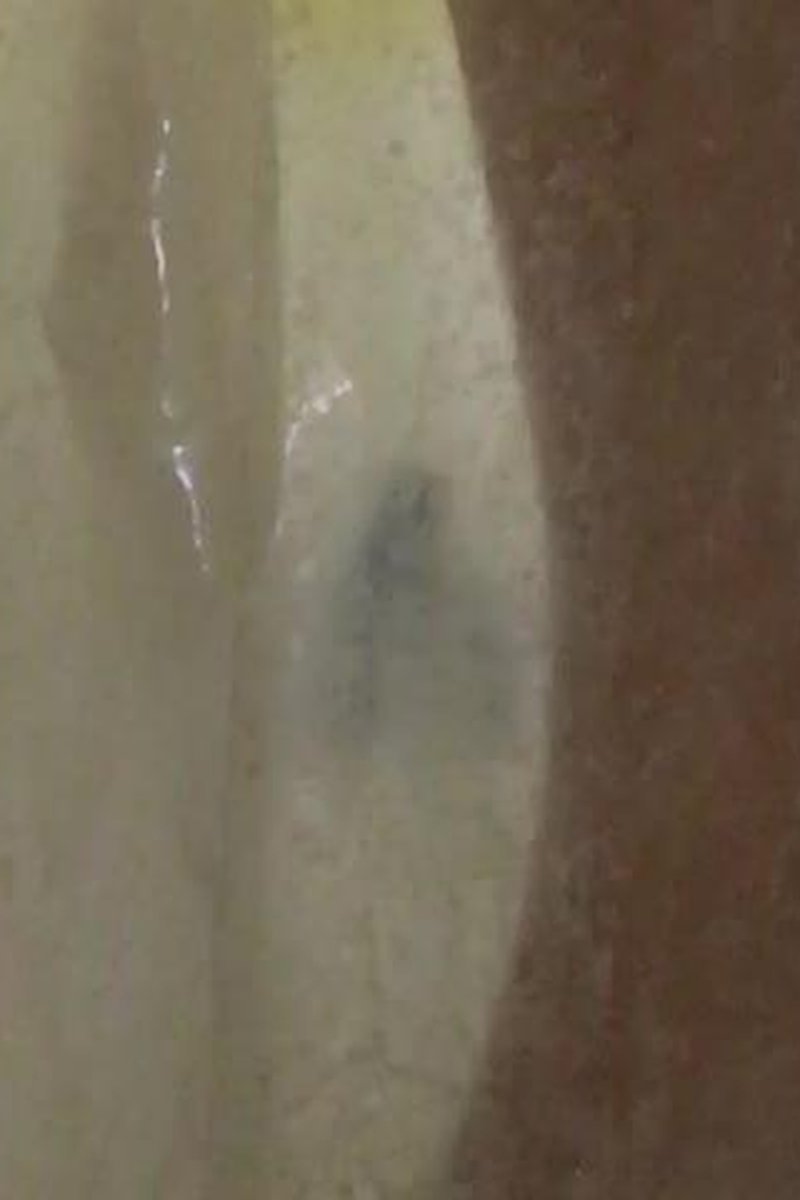 Shower Play - Screenshot 1 of 4 - Anal