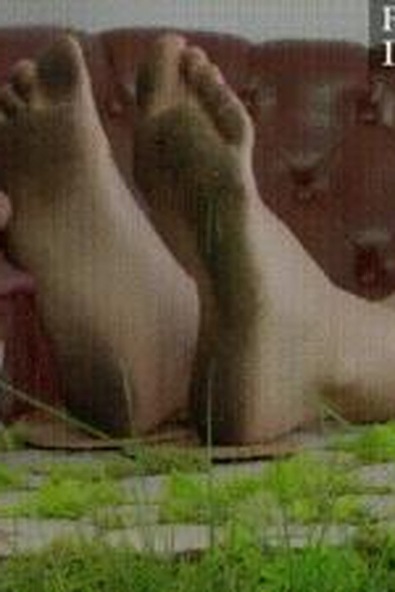 TP-iwantclipspolishmistress-elzbieta-lick-feet-of-gardener-polish-language-part-02-hd-2560x1440