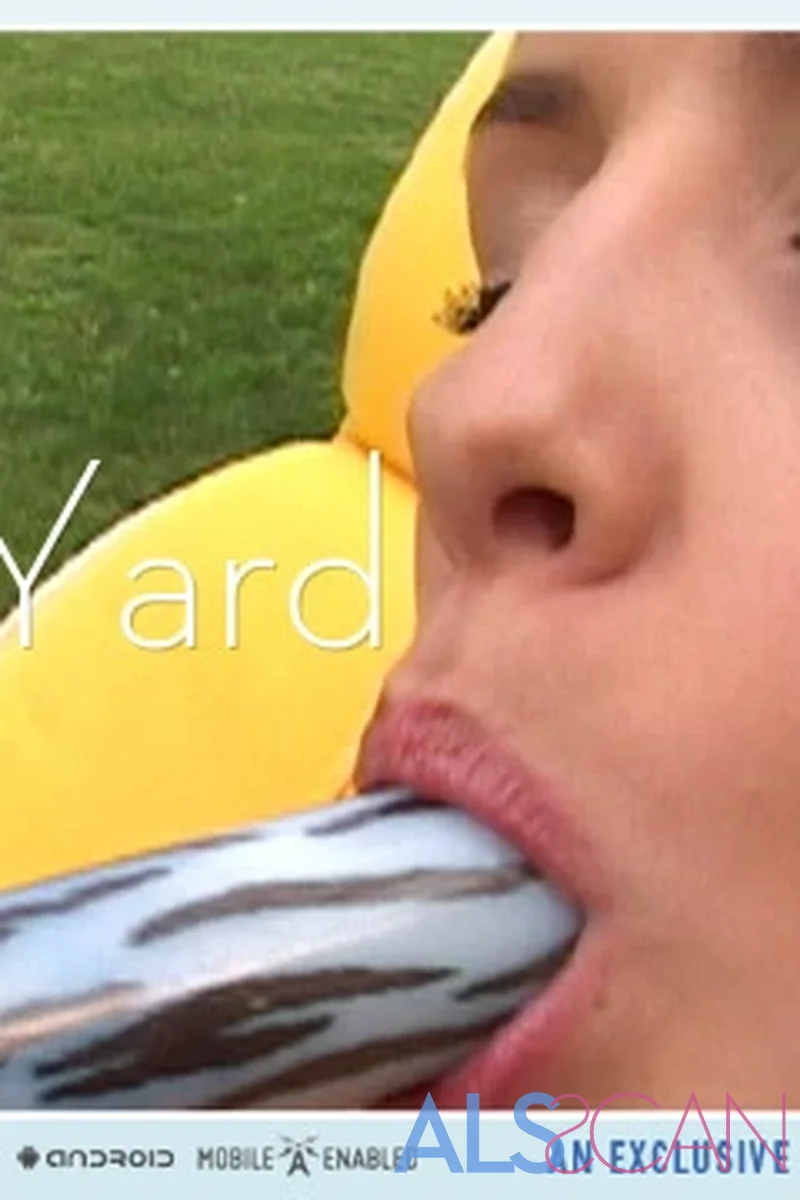 Back Yard - Screenshot 1 of 4 - European