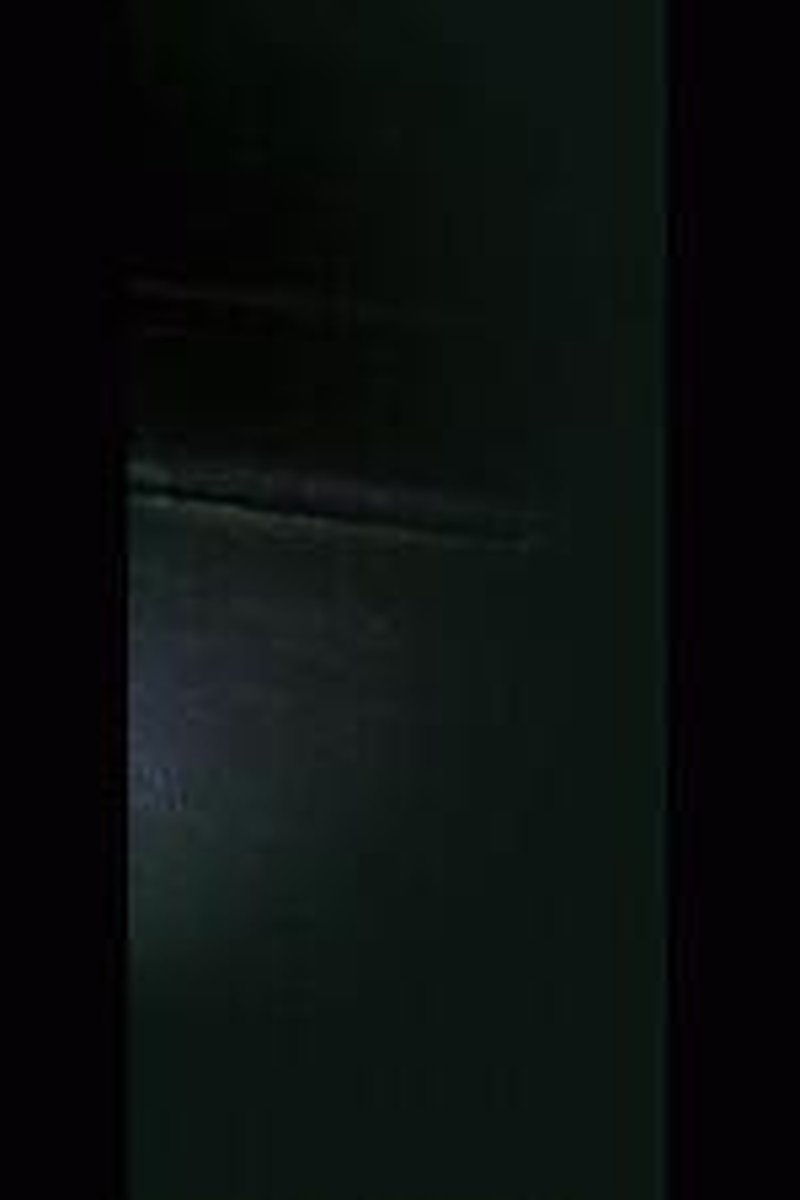 Caged Loser - Screenshot 1 of 4 - Executrixxx Fantasy