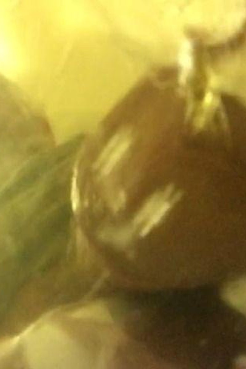 Piss Bucket - Screenshot 1 of 4 - Cock Play