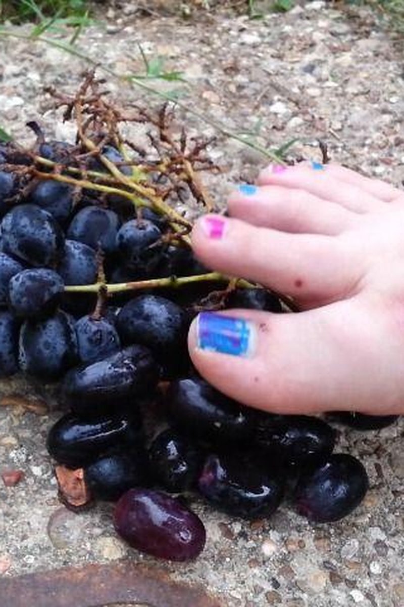 Grape Crush - Screenshot 1 of 4 - Food