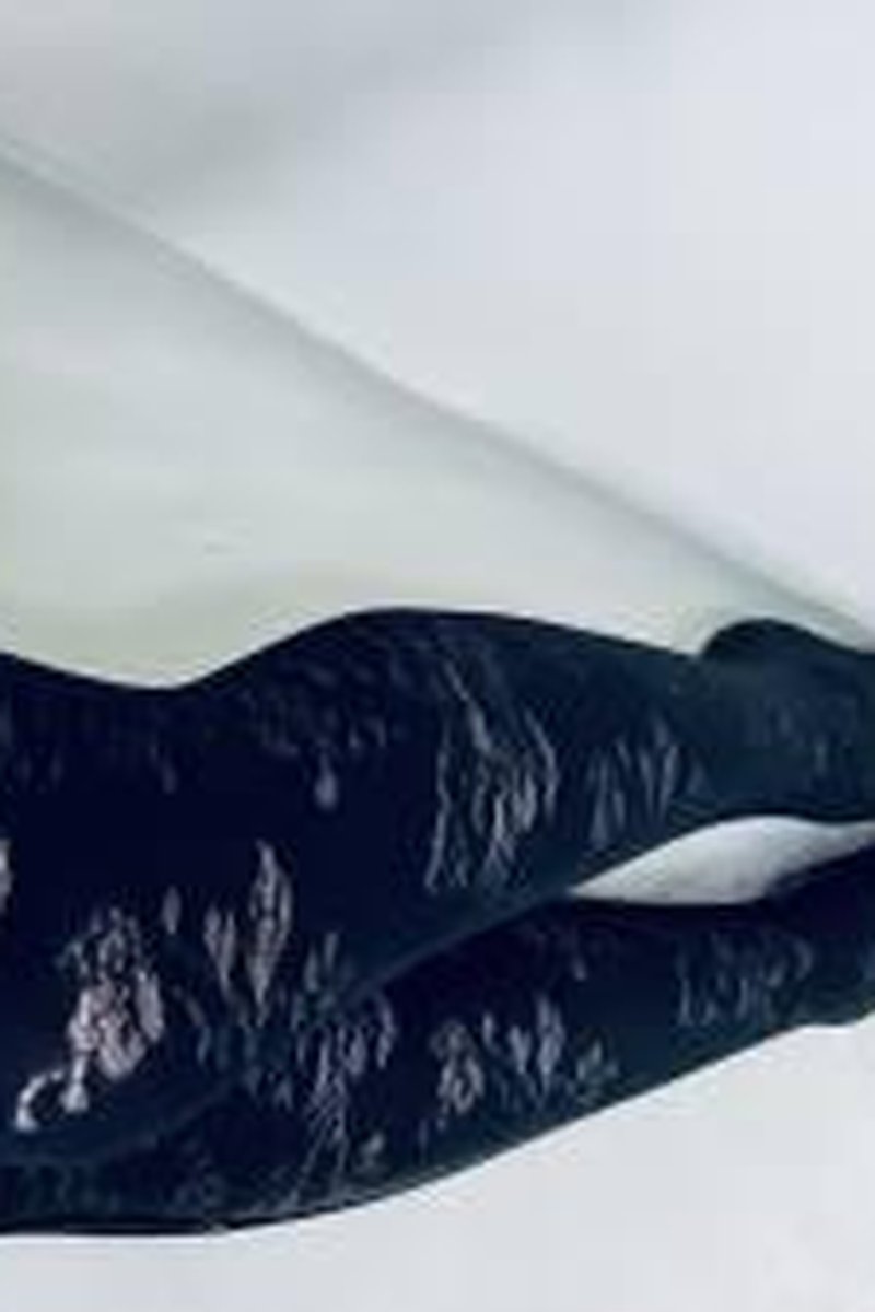 Black Tights - Screenshot 1 of 4 - Fantasy