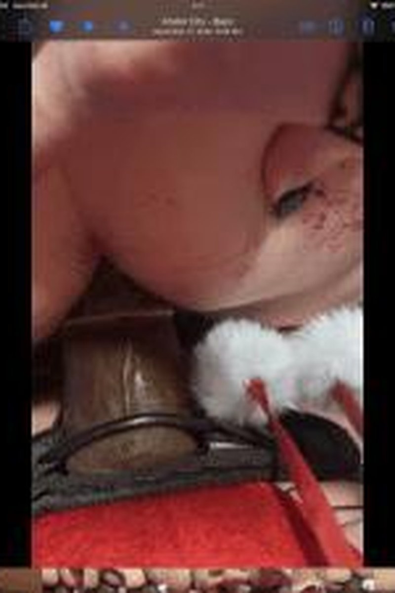 BBC Santa - Screenshot 1 of 4 - Anal