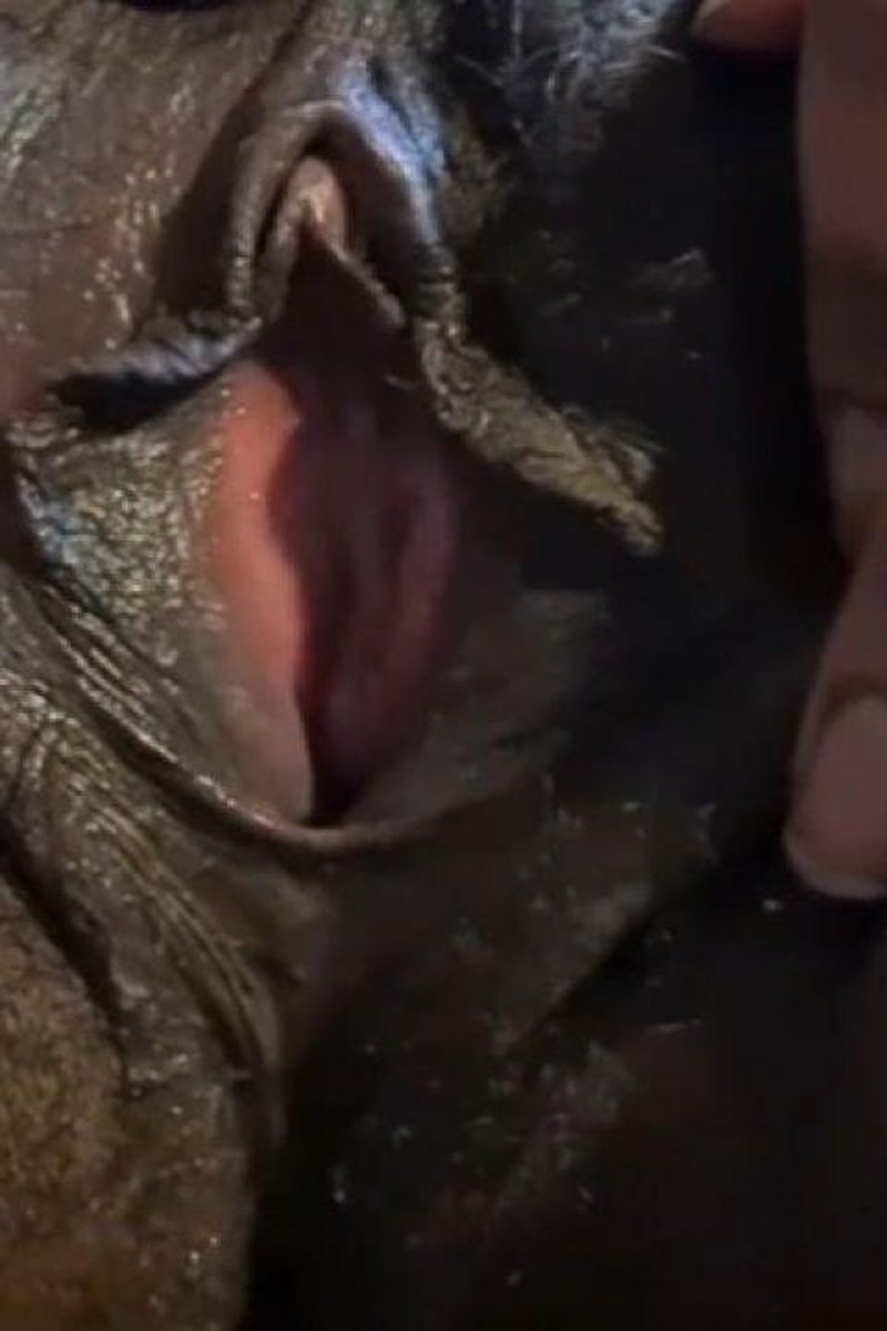 TP-manyvidsgoddessebony-fuck-my-ebony-pussy-with-your-big-hard-cock