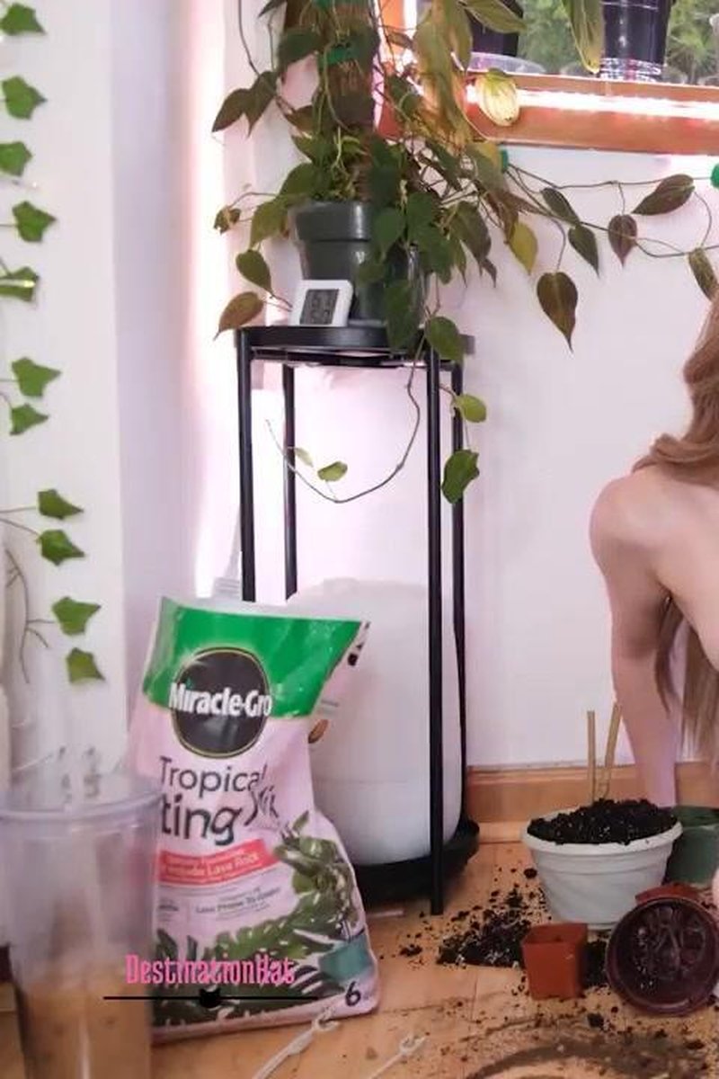 Old Pee Comps 3 - Screenshot 1 of 4 - Blonde Hair (Female)
