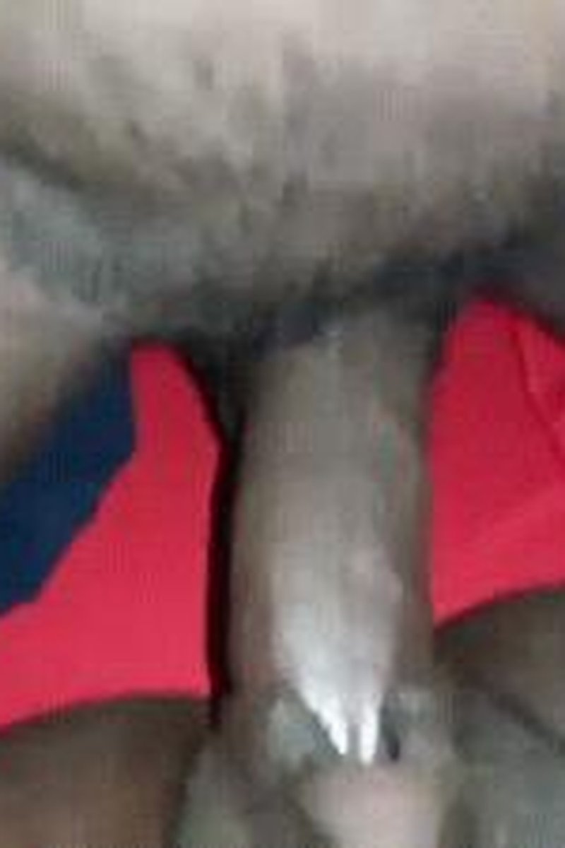 Creampied - Screenshot 1 of 4 - Black