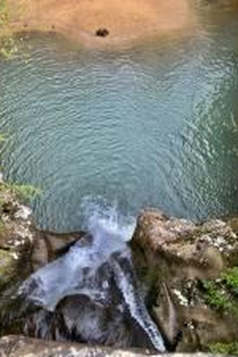 MILF - Screenshot 1 of 4 - Getting Ready