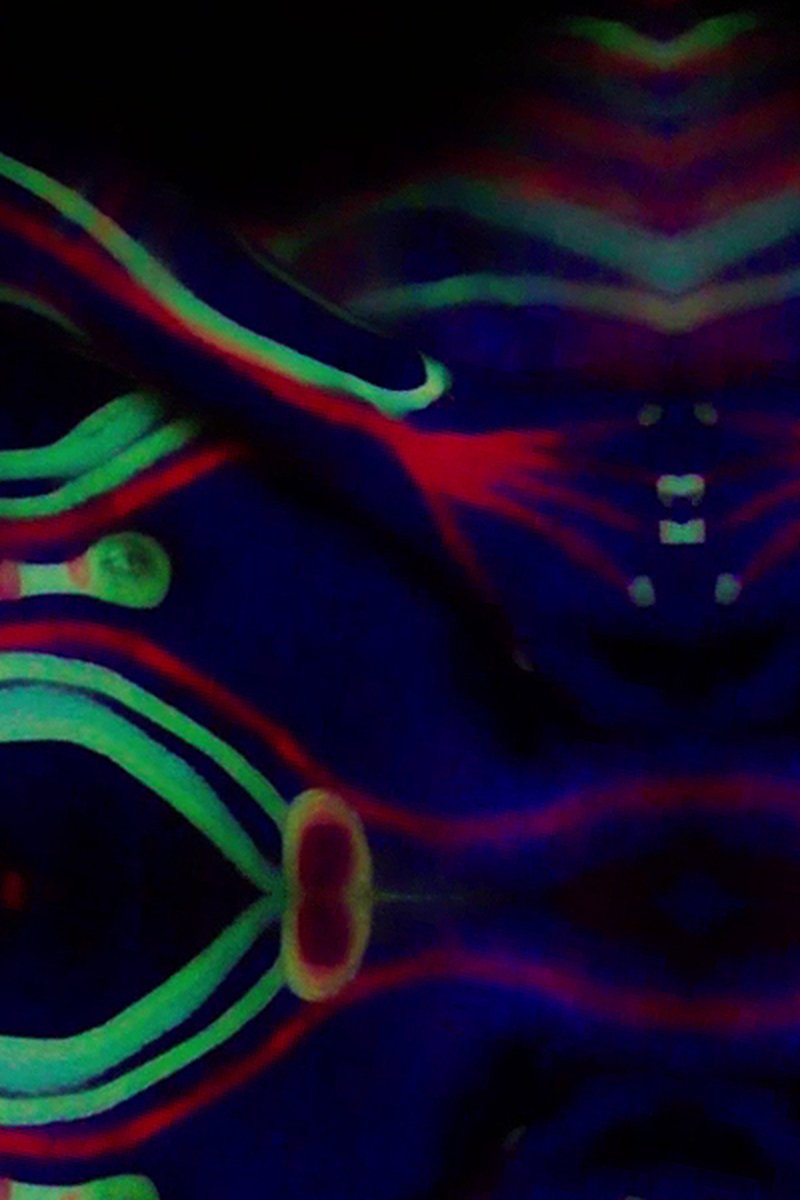 What Lies Within - Screenshot 1 of 4 - Magena Yama