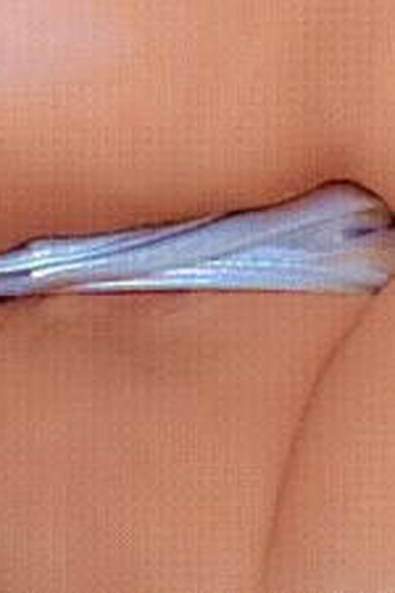 Sniff My Shiny Asshole - Screenshot 1 of 4 - Ass Fetish