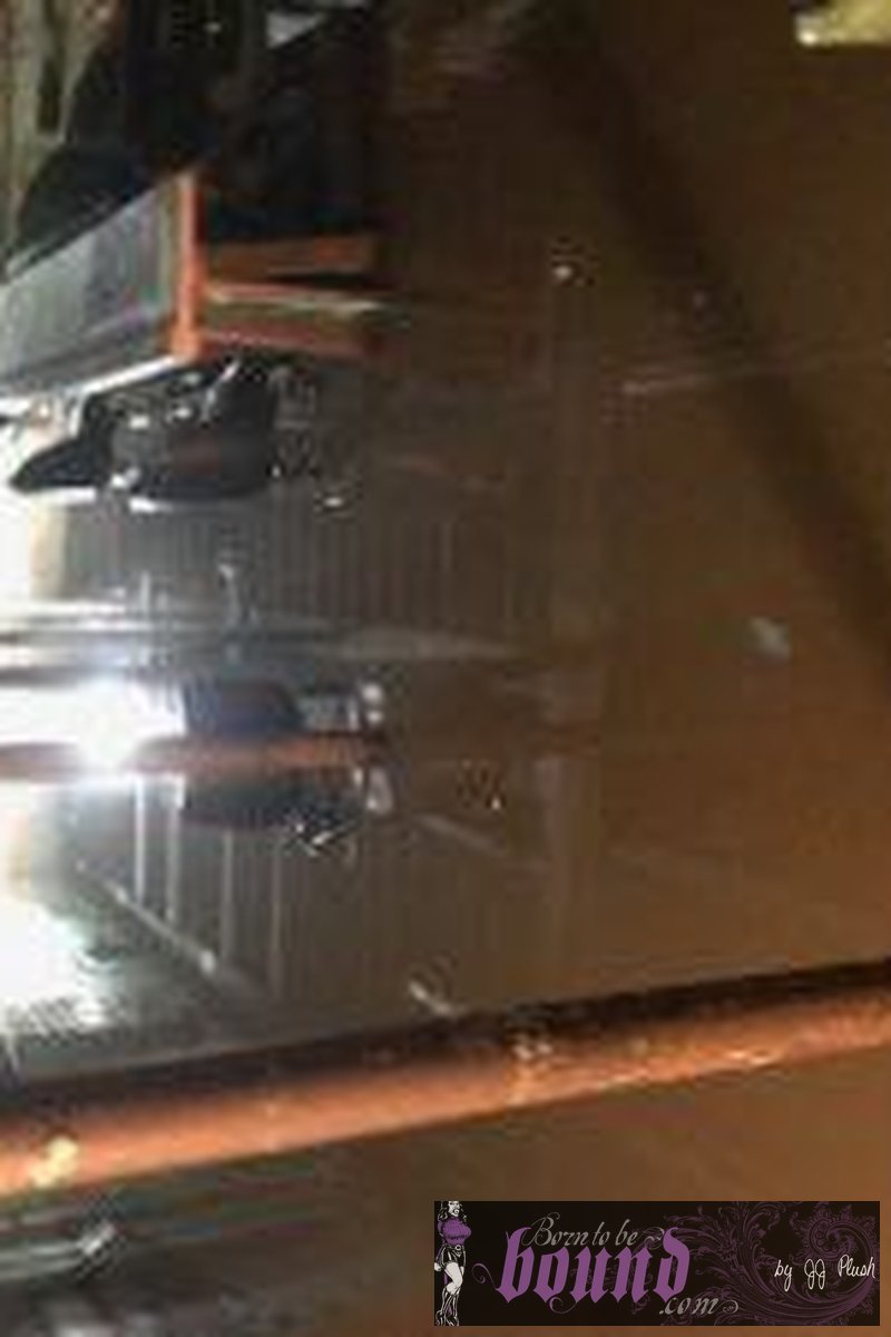 Journal - Screenshot 1 of 4 - Bondage