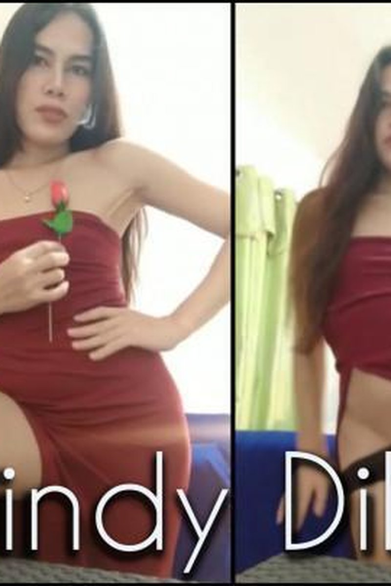Cindy's Dildoride - Screenshot 1 of 4 - Anal