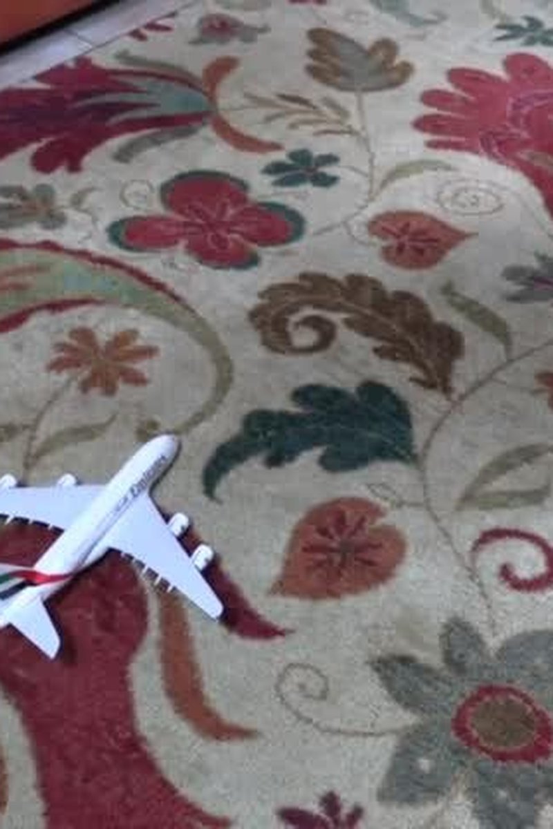 Lost Flight - Screenshot 1 of 4 - Fetish
