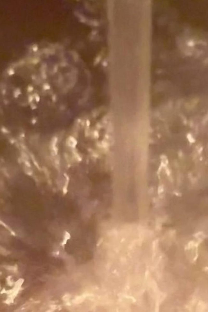Bathtub Fun - Screenshot 1 of 4 - Los Cat1