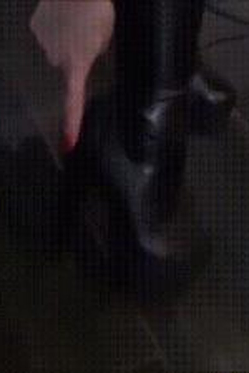Leather Domlady - Screenshot 1 of 4 - Boots