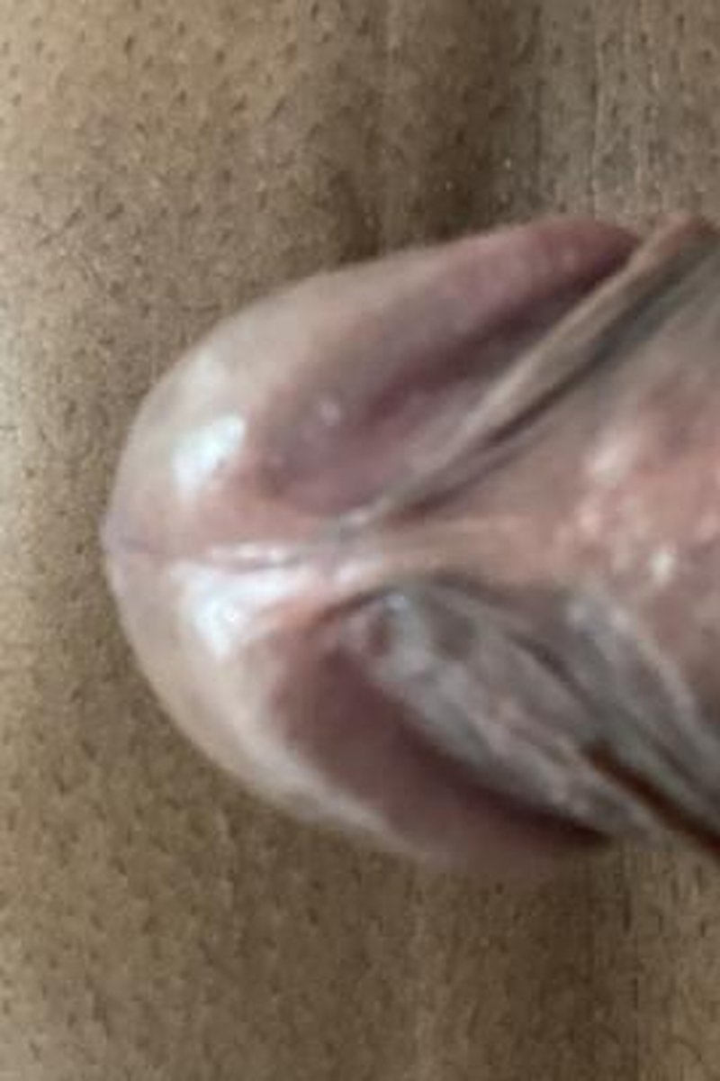 Felling Myself - Screenshot 1 of 4 - Big Dick