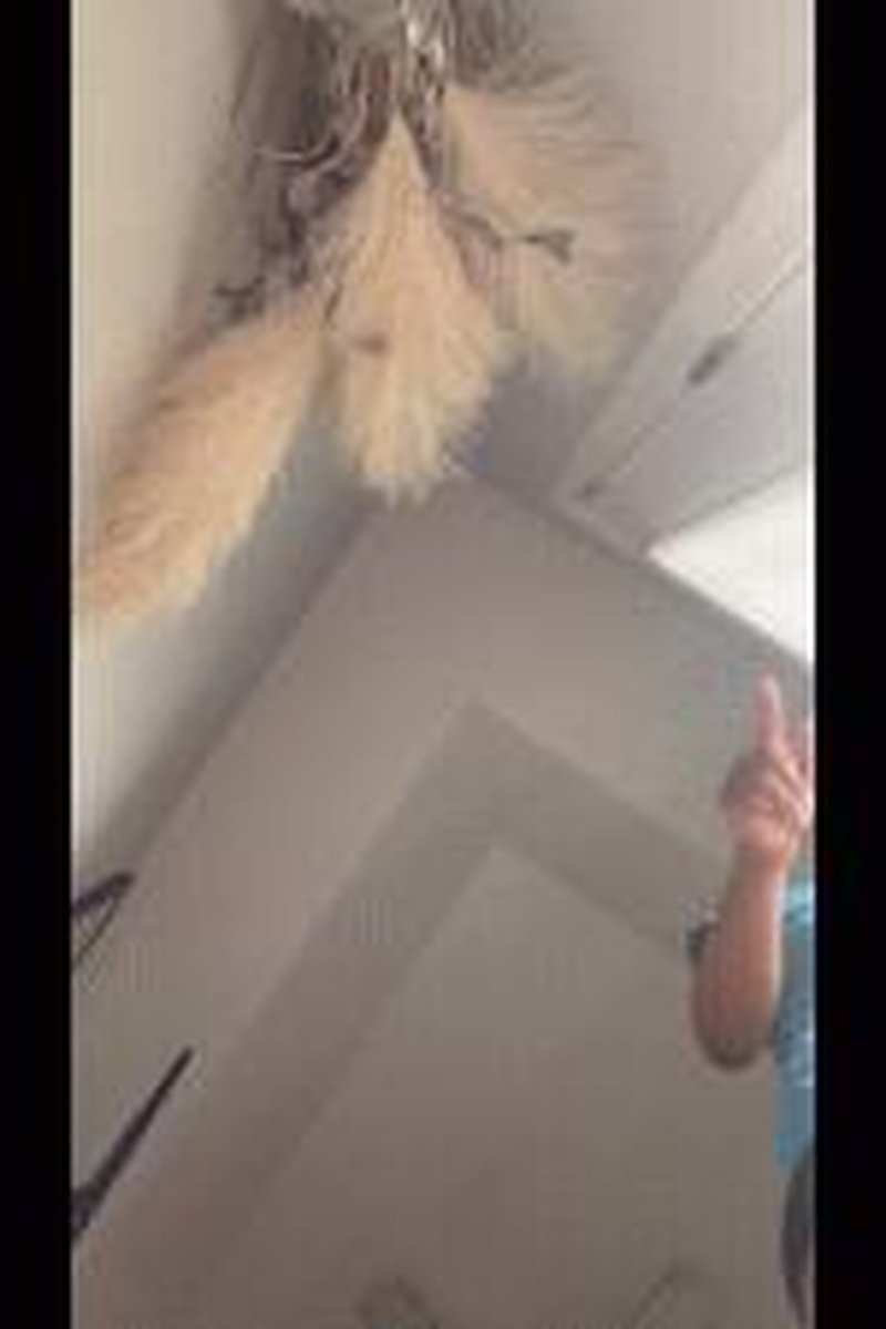 Gaintess - Screenshot 1 of 4 - Foot Fetish