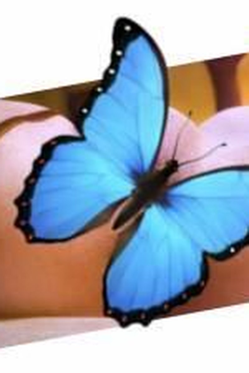 Close Up Pic - Screenshot 1 of 4 - Anal