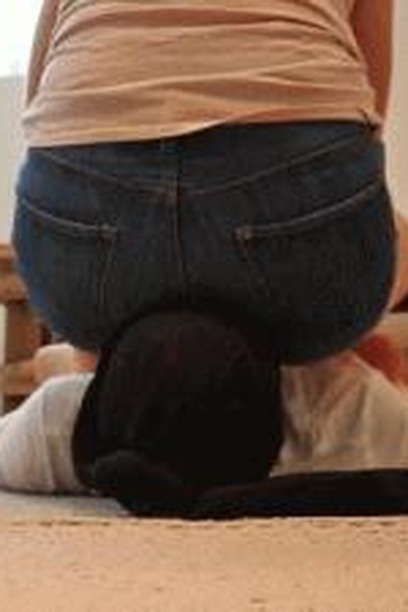 Cross Legged Sitting - Screenshot 1 of 4 - Ass Fetish