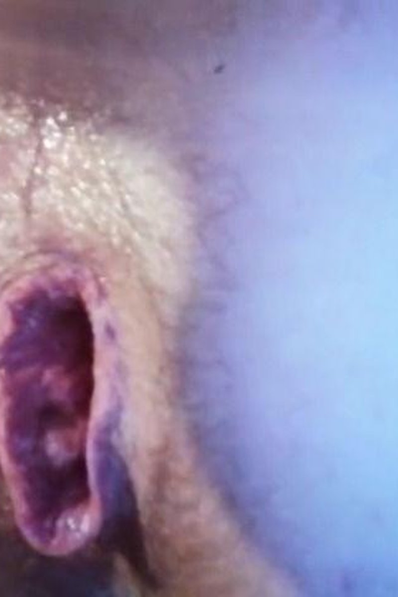 My Pulled Hungry Ass - Screenshot 1 of 4 - Anal