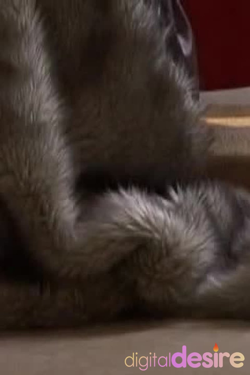 Brea Bennett - Screenshot 1 of 4 - Babes