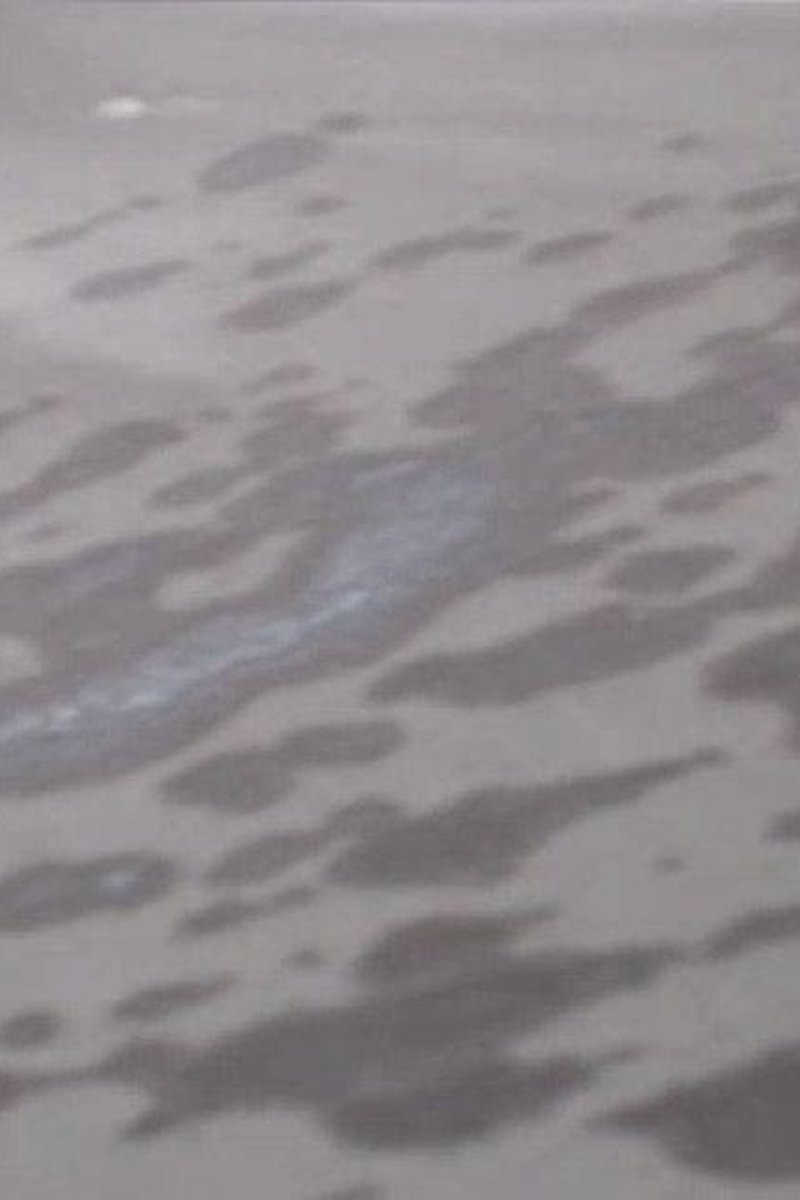 Soaking My Bed - Screenshot 1 of 4 - Cumshot