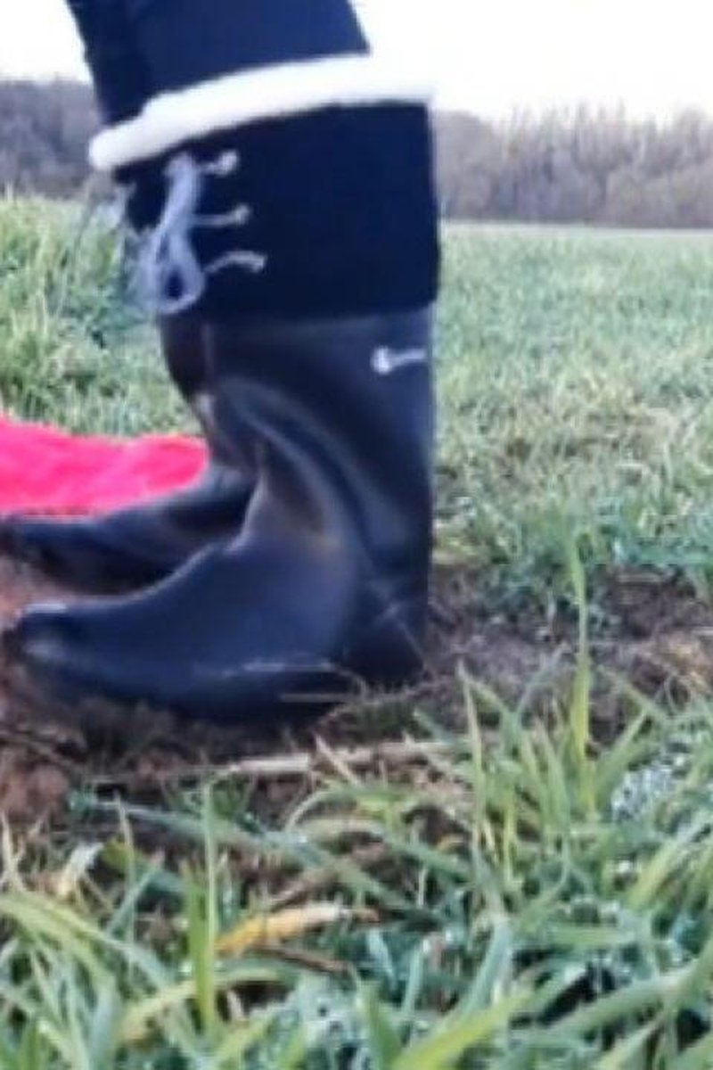 Trampling - Screenshot 1 of 4 - Boots