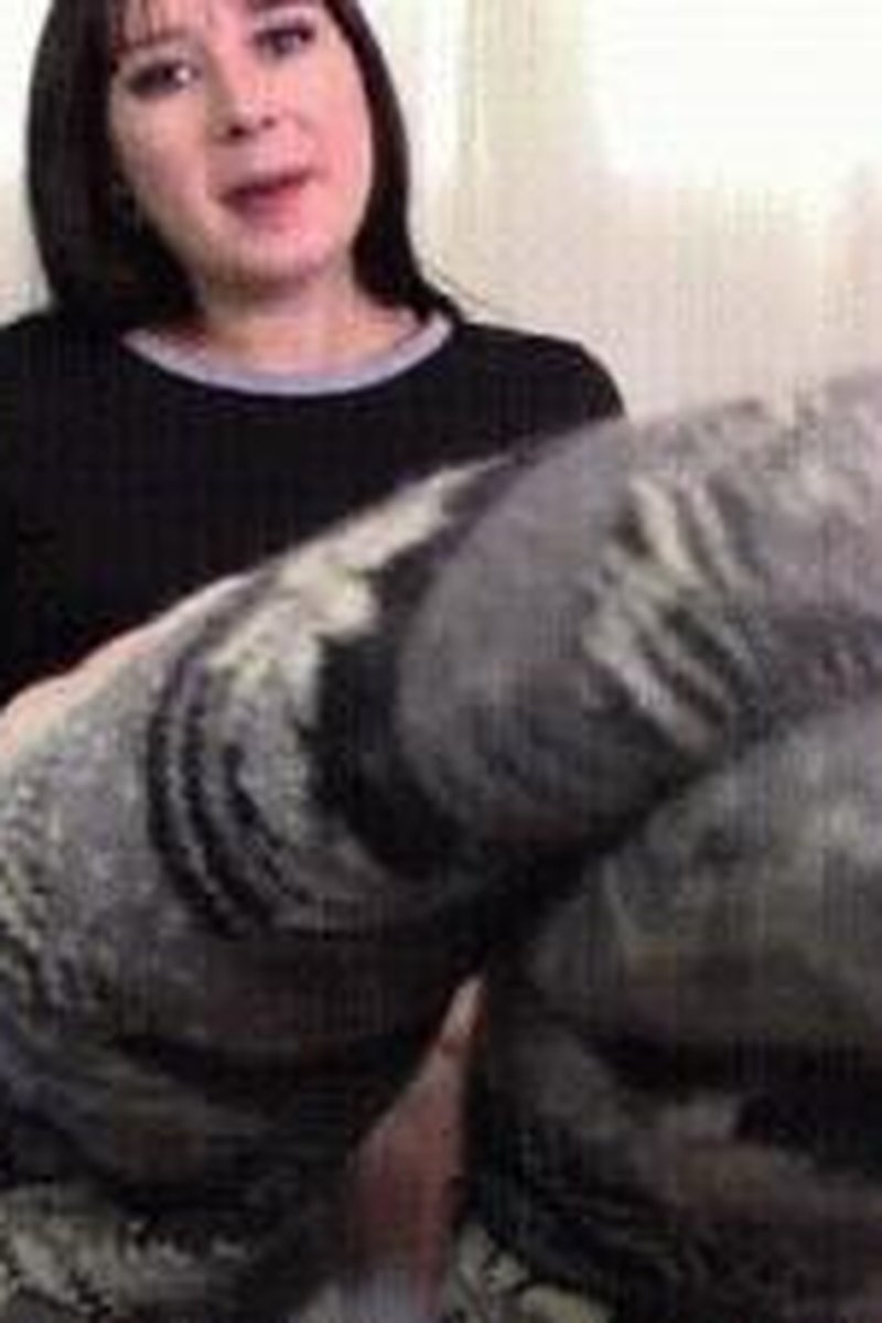 Slipper Socks - Screenshot 1 of 4 - Foot Fetish