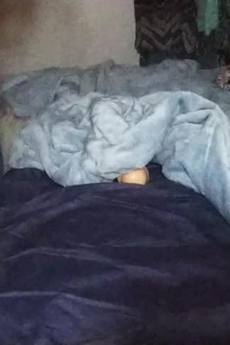 Riding My Stepbrother's Cock - Screenshot 1 of 4 - BBW