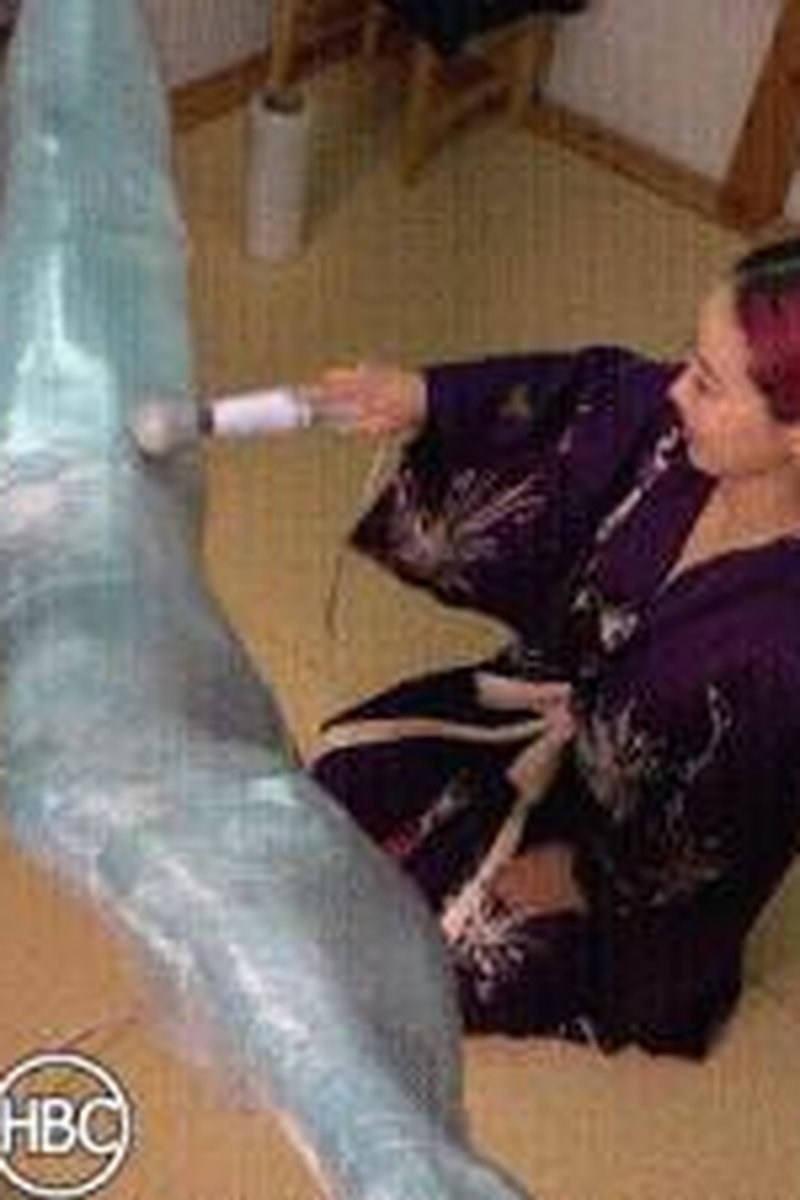 Hammock Mummification! - Screenshot 1 of 4 - Asian